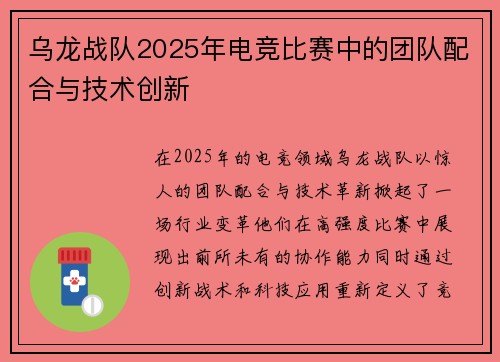 乌龙战队2025年电竞比赛中的团队配合与技术创新